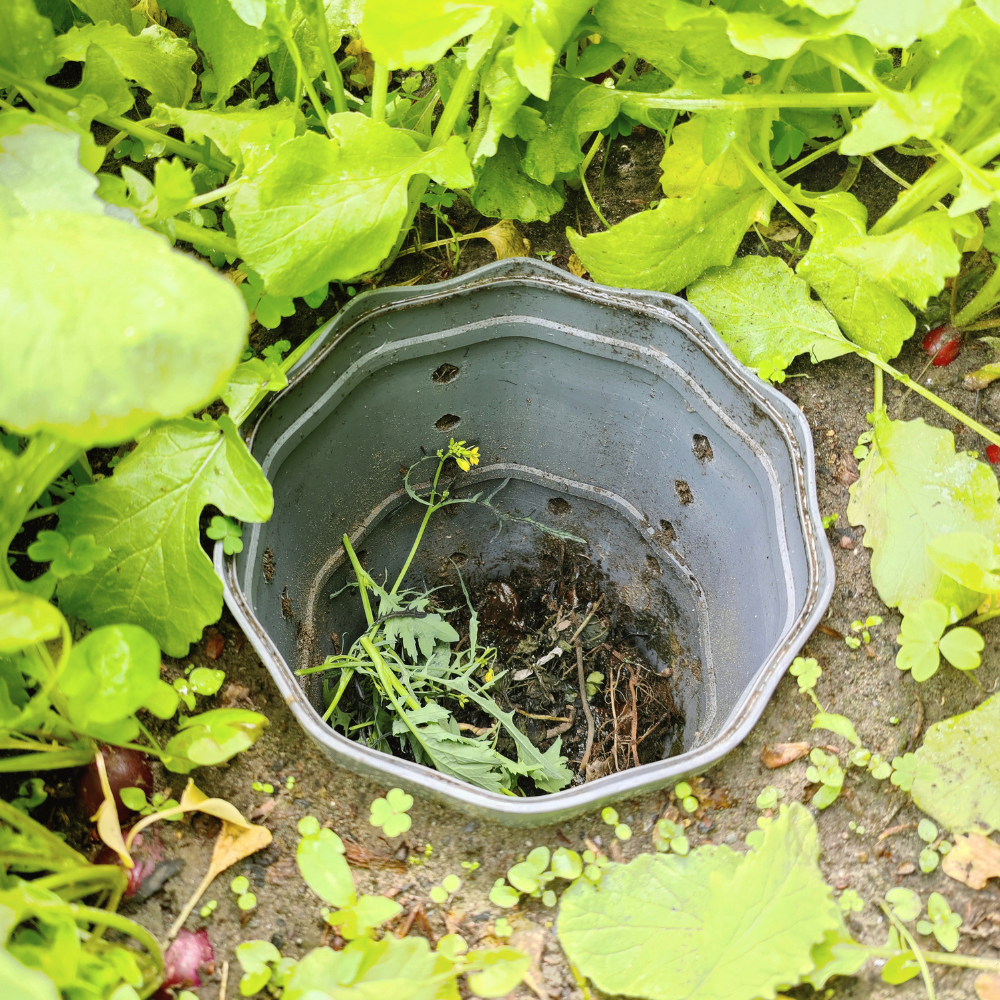 Drop Root Plus - vermicomposter