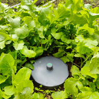 Drop Root Plus - vermicomposter