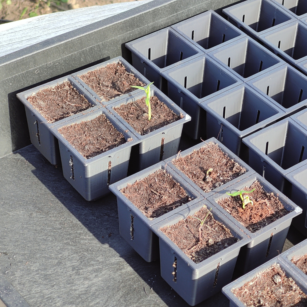 Robuuste zaaitray set