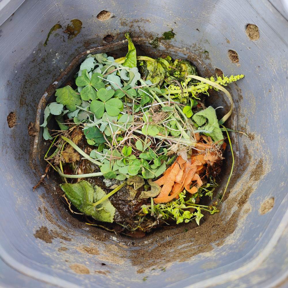 Drop Root Plus - vermicomposter