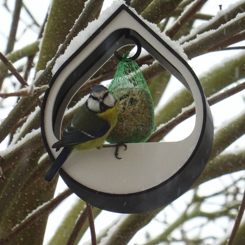 Modulaire design-voederplek voor kleine tuinvogels