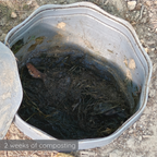 Drop Root Plus - vermicomposter