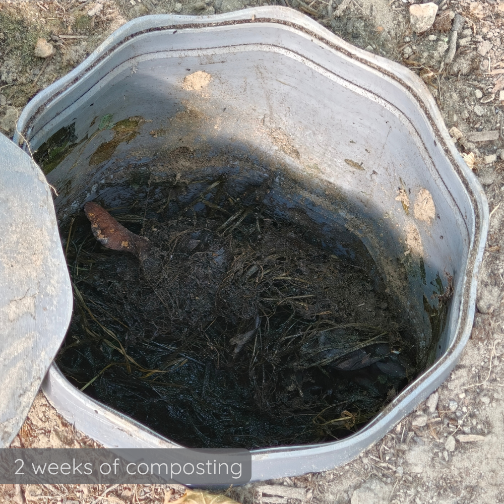 Drop Root Plus - vermicomposter